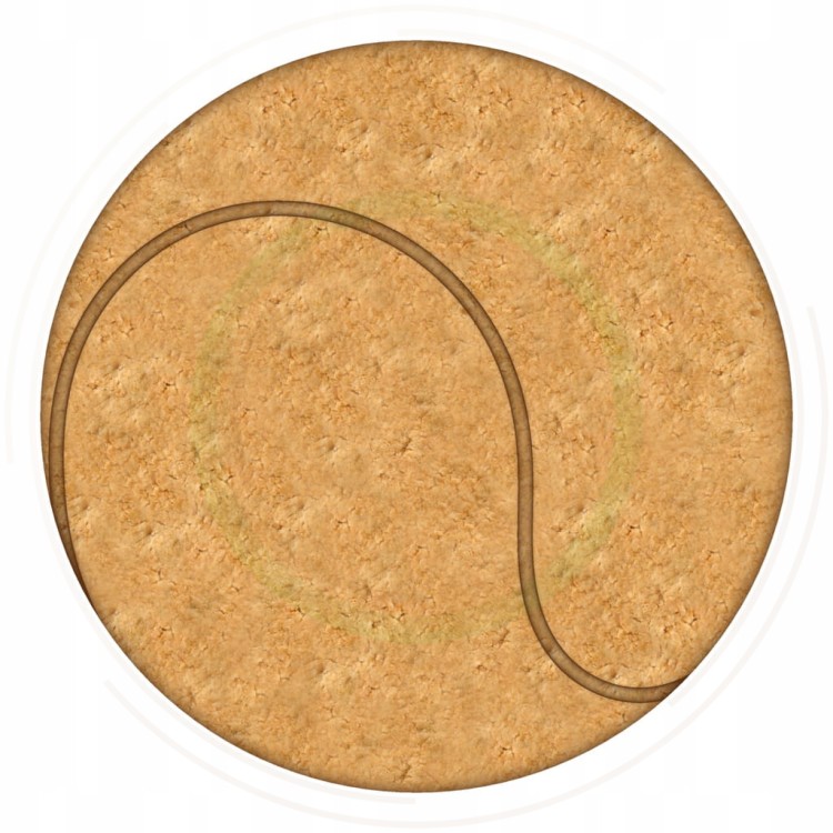 cb1c2d504a59aa7d469028adf38af170