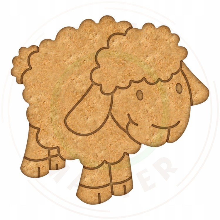 e50847d42bcd72003aa342a91bdca7a2