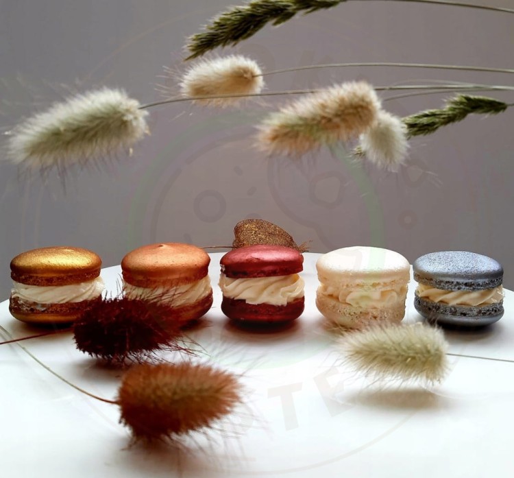 d473c09920fa865da3f1404909ae65ed