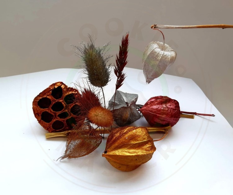 4ea1777cd68fe3e62da06d31280d05ca