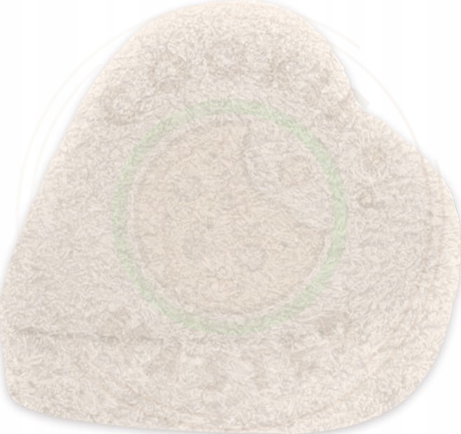 5d9b1f7025074002c727fc10a5fa29f8